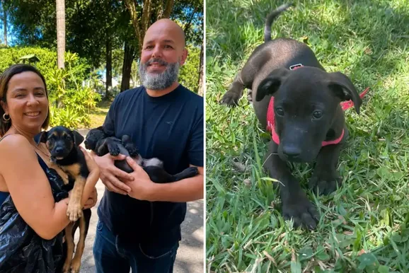 Casal de Atibaia adota dois filhotes resgatados em Bragan&ccedil;a