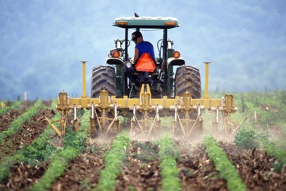 Sine de Brumadinho tem v&aacute;rias vagas de trabalho abertas nesta quarta-feira