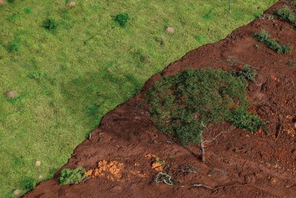 UFV e Vale firmam acordo de R$ 1,6 milh&atilde;o para restaura&ccedil;&atilde;o florestal em Brumadinho