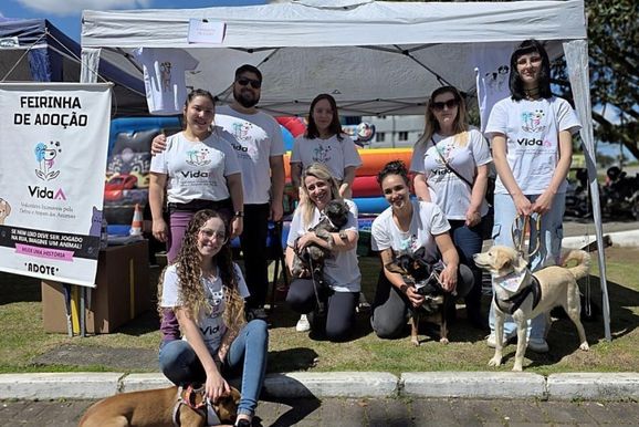 C&acirc;mara aprova projeto que pode ampliar coopera&ccedil;&atilde;o com associa&ccedil;&atilde;o de prote&ccedil;&atilde;o animal