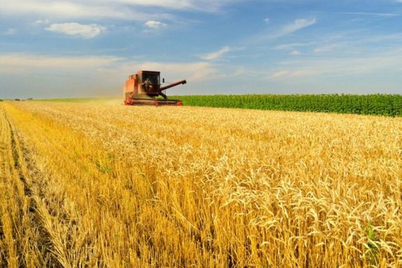 Inadimpl&ecirc;ncia no cr&eacute;dito rural quase dobra e acende alerta em MS