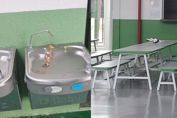 Presen&ccedil;a de pombos na Escola Selma gera preocupa&ccedil;&atilde;o com a sa&uacute;de dos alunos