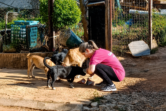 O pre&ccedil;o do cuidado: volunt&aacute;ria soma mais de R$ 3 mil em a&ccedil;&otilde;es com animais