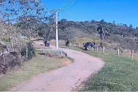 Envolvido em invas&atilde;o a condom&iacute;nio em Campinas era procurado pela Justi&ccedil;a de Cabre&uacute;va