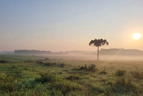 Temperaturas caem e frio deve persistir at&eacute; ter&ccedil;a no Planalto Norte