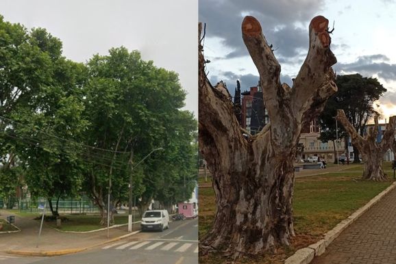 Antes e depois: poda dr&aacute;stica muda cen&aacute;rio da Pra&ccedil;a da Cuia em Canoinhas