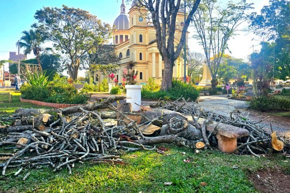 Agr&ocirc;nomo chama retirada de &aacute;rvores da Pra&ccedil;a da Matriz de &ldquo;erro gigantesco&rdquo;