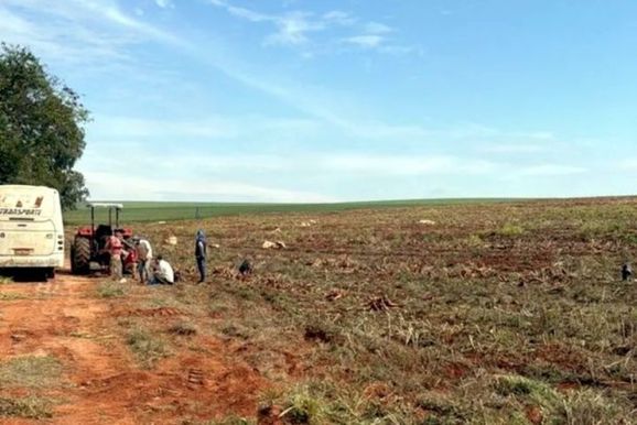Opera&ccedil;&atilde;o resgata 18 paraguaios em condi&ccedil;&otilde;es an&aacute;logas &agrave; escravid&atilde;o