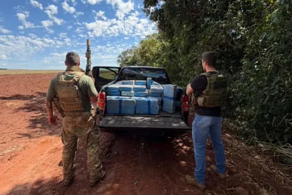PF e BPFron apreendem 626,5 kg de maconha em &aacute;rea de mata