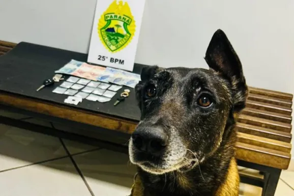 PM apreende drogas e celulares durante opera&ccedil;&atilde;o