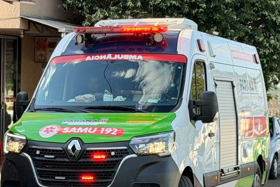 Abelhas atacam casal de idosos em Douradina; uma v&iacute;tima est&aacute; em estado grave