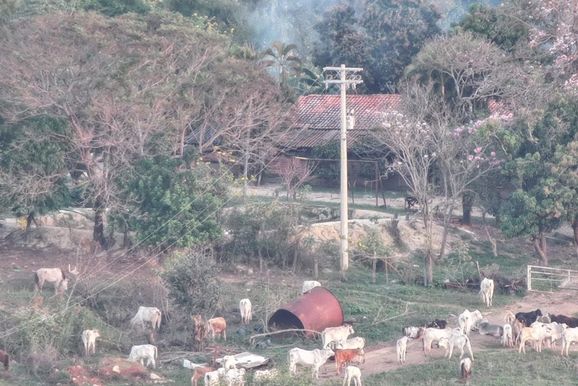 Pol&iacute;cia Civil prende quatro foragidos por qu&aacute;druplo homic&iacute;dio ocorrido em Icara&iacute;ma