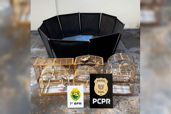 Quatro homens s&atilde;o presos por suspeita de rinha de galos em Cidade Ga&uacute;cha