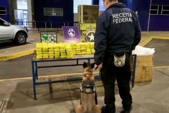 C&atilde;o farejador encontra 90 kg de maconha escondidos em caixa de som na Ponte da Amizade
