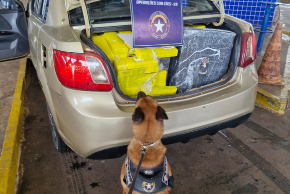Casal tenta escapar da fiscaliza&ccedil;&atilde;o, mas motorista &eacute; preso com 310 kg de droga
