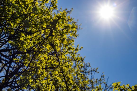 Semana come&ccedil;a com frio e tempo firme em Foz do Igua&ccedil;u; veja a previs&atilde;o dos pr&oacute;ximos dias