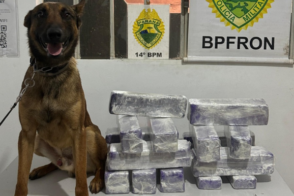 Encomendas escondiam mais de 27 kg de maconha em ponto de com&eacute;rcio eletr&ocirc;nico