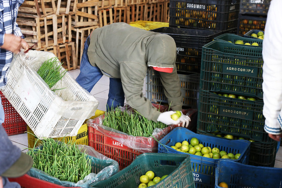 Foz vai destinar R$ 325 mil para compra de alimentos de agricultores locais