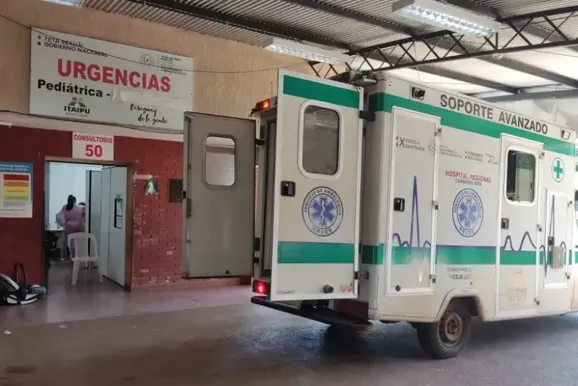 Infesta&ccedil;&atilde;o de pulgas fecha ala neonatal e obriga transfer&ecirc;ncia de beb&ecirc;s em CDE