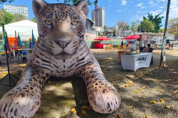 On&ccedil;a-pintada gigante chama aten&ccedil;&atilde;o do p&uacute;blico na Feira do Livro at&eacute; domingo