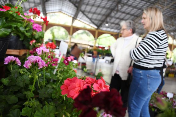 Expoflorir &eacute; sucesso de p&uacute;blico e vendas no Munic&iacute;pio de Picada Caf&eacute;
