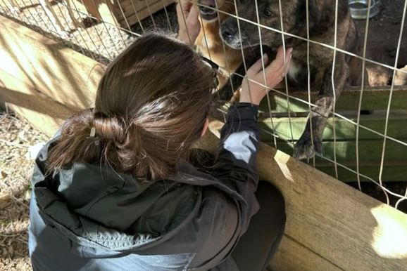 Gramado d&aacute; in&iacute;cio ao Programa de Trabalho Volunt&aacute;rio no Abrigo Municipal de C&atilde;es