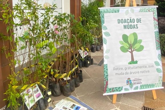 Projeto "Escola: Ponto Verde" j&aacute; destinou mais de 2.500 mudas nas escolas de Gramado