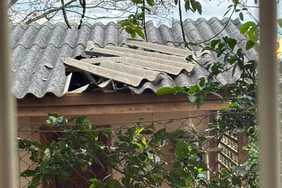 Temporal provoca quedas de &aacute;rvores, destelhamentos e danos em escolas de Taquara