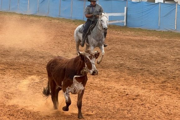 2&ordm; Rodeio Farroupilha Municipal de Parob&eacute; encerra programa&ccedil;&atilde;o da Semana Farroupilha