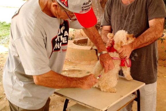 Tim&oacute;teo realiza vacina&ccedil;&atilde;o contra a raiva na zona rural e urbana