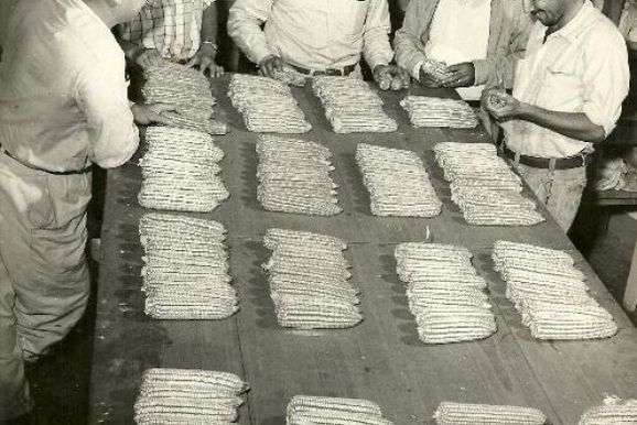Foto relembra pioneirismo da Agroceres na produ&ccedil;&atilde;o de milho h&iacute;brido