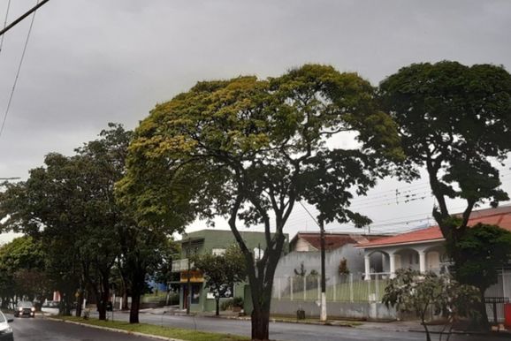 ​Instabilidade marca o final de semana do Dia dos Pais em Jacarezinho