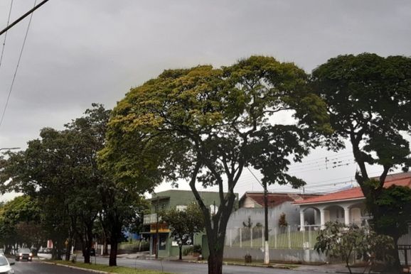 ​Jacarezinho tem instabilidade nesta sexta e fim de semana de sol com calor em eleva&ccedil;&atilde;o