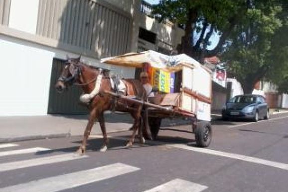 Registro de 2012 resgata cena buc&oacute;lica na Avenida Get&uacute;lio Vargas em Jacarezinho