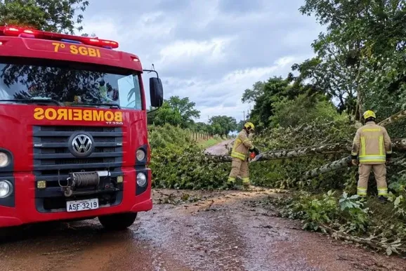 Vendaval derruba &aacute;rvores e mobiliza Corpo de Bombeiros no Norte Pioneiro