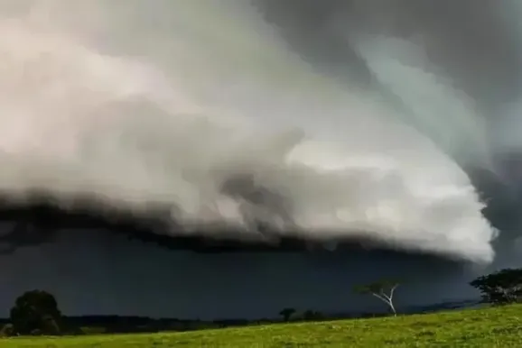​Tempestade provoca rajadas de vento acima de 60 km/h em Cambar&aacute;