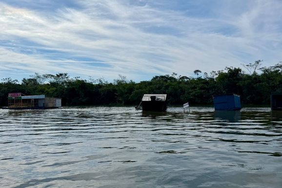 Cheia do Rio Paran&aacute; favorece reprodu&ccedil;&atilde;o de peixes na regi&atilde;o de Porto Rico, afirma bi&oacute;loga