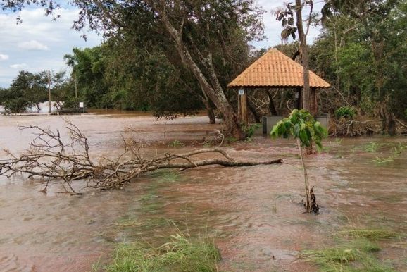 Cheia do Rio Paranapanema invade casa no Porto Tigre 