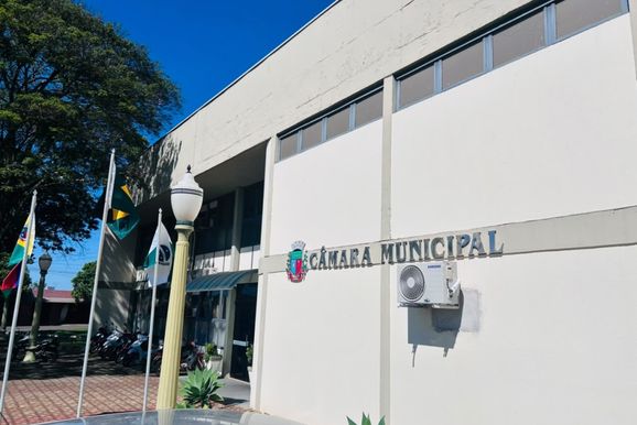 Projeto que prev&ecirc; reposi&ccedil;&atilde;o de &aacute;rvores cortadas &eacute; aprovado em Loanda
