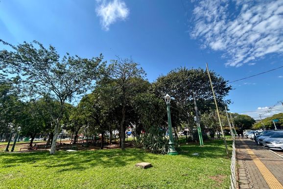 Vereador prop&otilde;e novas regras para arboriza&ccedil;&atilde;o em Loanda
