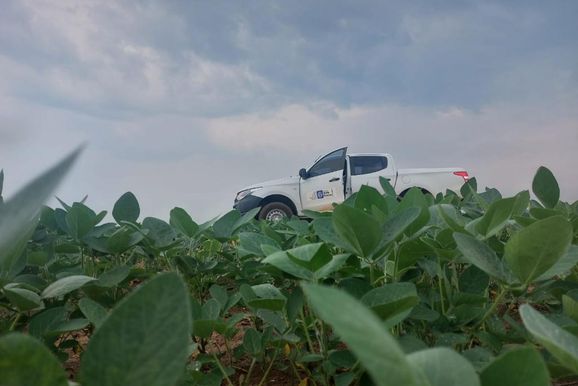 Vazio sanit&aacute;rio da soja j&aacute; est&aacute; em vig&ecirc;ncia em Mato Grosso