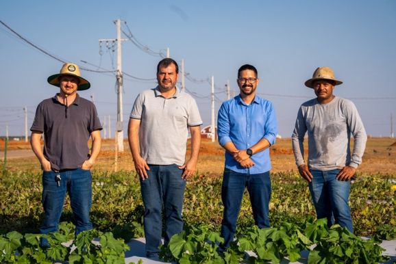 Campo experimental da Agricultura prepara tecnologias para o Show Safra 2027
