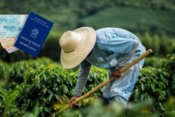 Ind&uacute;stria perde for&ccedil;a e agro lidera gera&ccedil;&atilde;o de empregos em Mogi Mirim em 2026