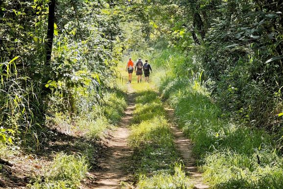 Trail Run na Campininha abre inscri&ccedil;&otilde;es para percursos de at&eacute; 20 km