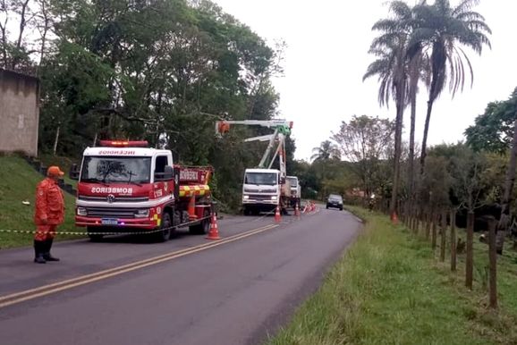 Ventania derruba galho, rompe fio e mata c&atilde;o na Rodovia Andr&eacute; Franco Montoro