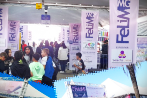 Sebrae Minas leva criatividade e educa&ccedil;&atilde;o empreendedora &agrave; 4&ordf; edi&ccedil;&atilde;o do FeLiM