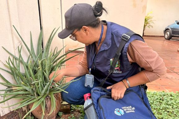Combate &agrave; dengue: Prefeitura pede apoio da popula&ccedil;&atilde;o durante visitas dos agentes