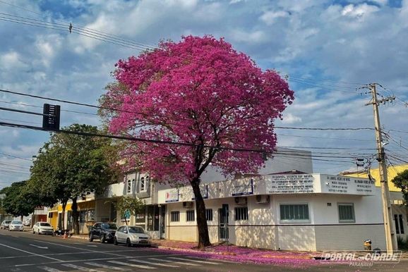 Semana come&ccedil;a com tempo firme e calor; chuva pode voltar na quarta em Paranava&iacute;