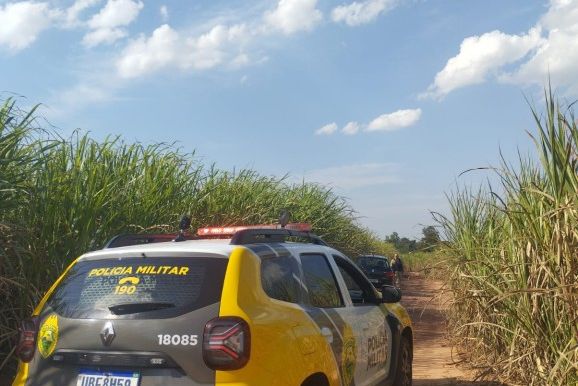 Mulher sequestrada &eacute; encontrada amarrada em canavial na regi&atilde;o  