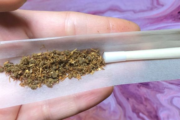 Homem &eacute; preso com p&eacute;s de maconha e por&ccedil;&otilde;es da droga em Paranava&iacute;